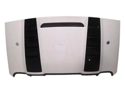 AUDI R8 TYPE 42 V10 5.2 SPYDER 427825300 softtop boot lid carbon