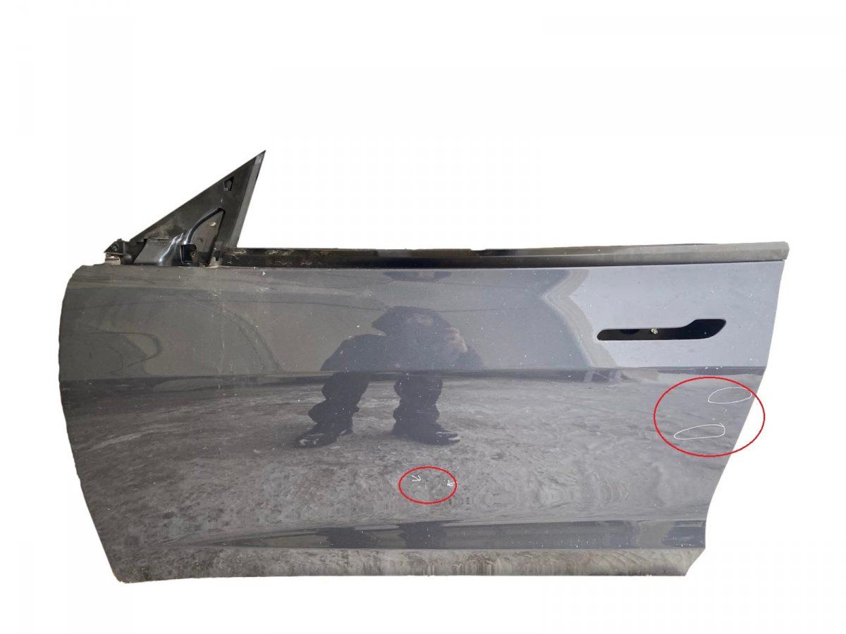 1081421E0C Door Front Left TESLA MODEL 3 (2017-)