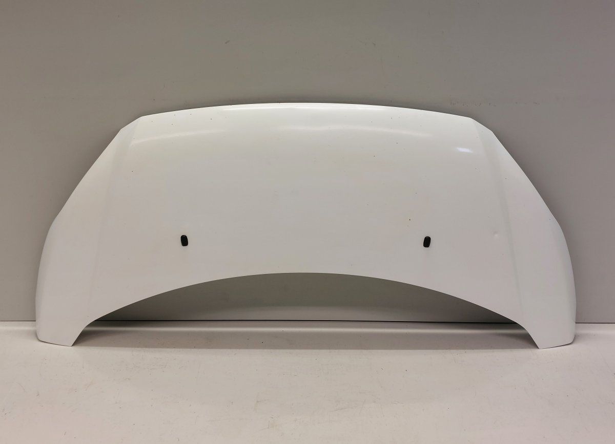 PBK21-A16612-AC PBK21A16612AC 1846029 Bonnet FORD TRANSIT / TOURNEO CUSTOM I (2012-)