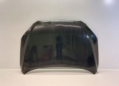 5330142070 Bonnet TOYOTA RAV 4 III (XA30) (2005-2012)