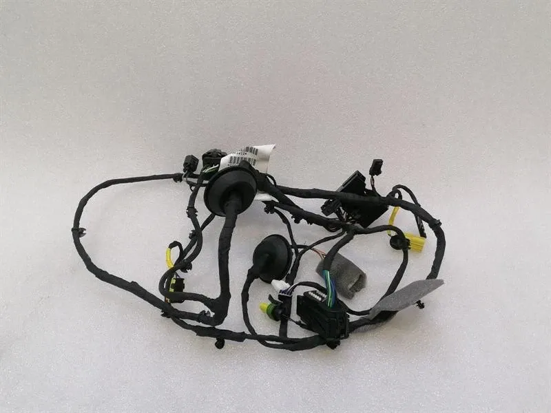 Ferrari Roma F169 Wiring Loom 963412 RH DOOR Wiring Harness
