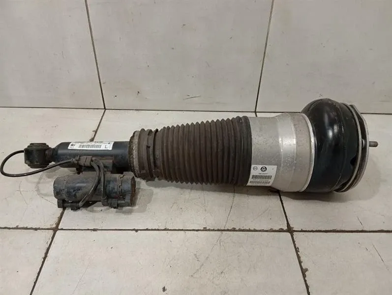 Mercedes CL W217 S63 AMG Shock Absorber RLH A2173204300 Shock Absorber Rear Lin-