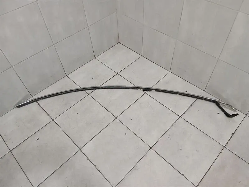 Aston Martin Rapide 10-14 Body Moulding ED43-C519A39-AB LH Bar