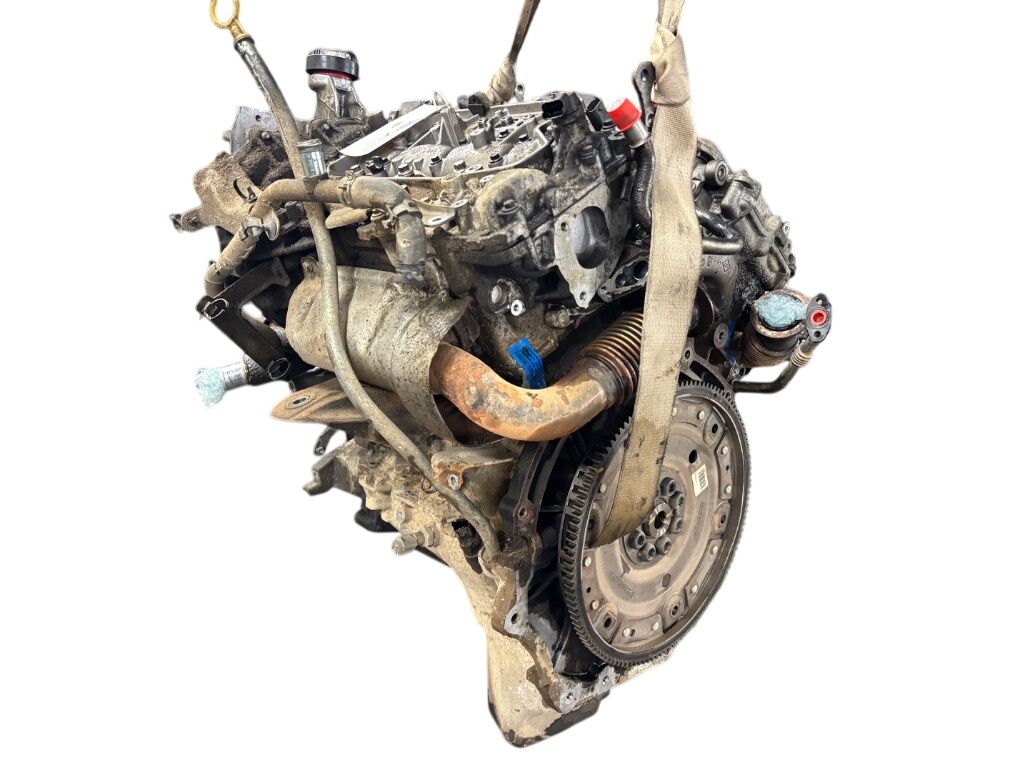 V9X V9X661 Engine NISSAN NAVARA II / NP300 (D40) (2004-2021)