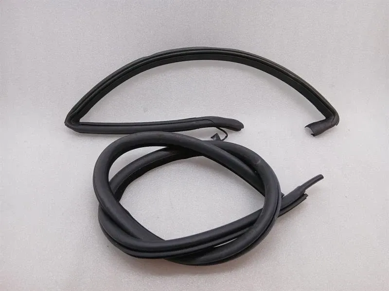 Aston Martin Rapide 10-14 Door Seal ED43-F20709-FA RL HEATED Door Seals