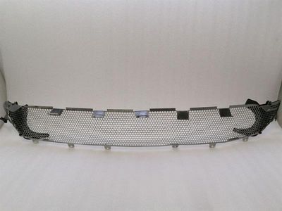 Aston Martin DB9 Volante Front Bumper Lower Grille CG43-8156-CA Radiator Grille