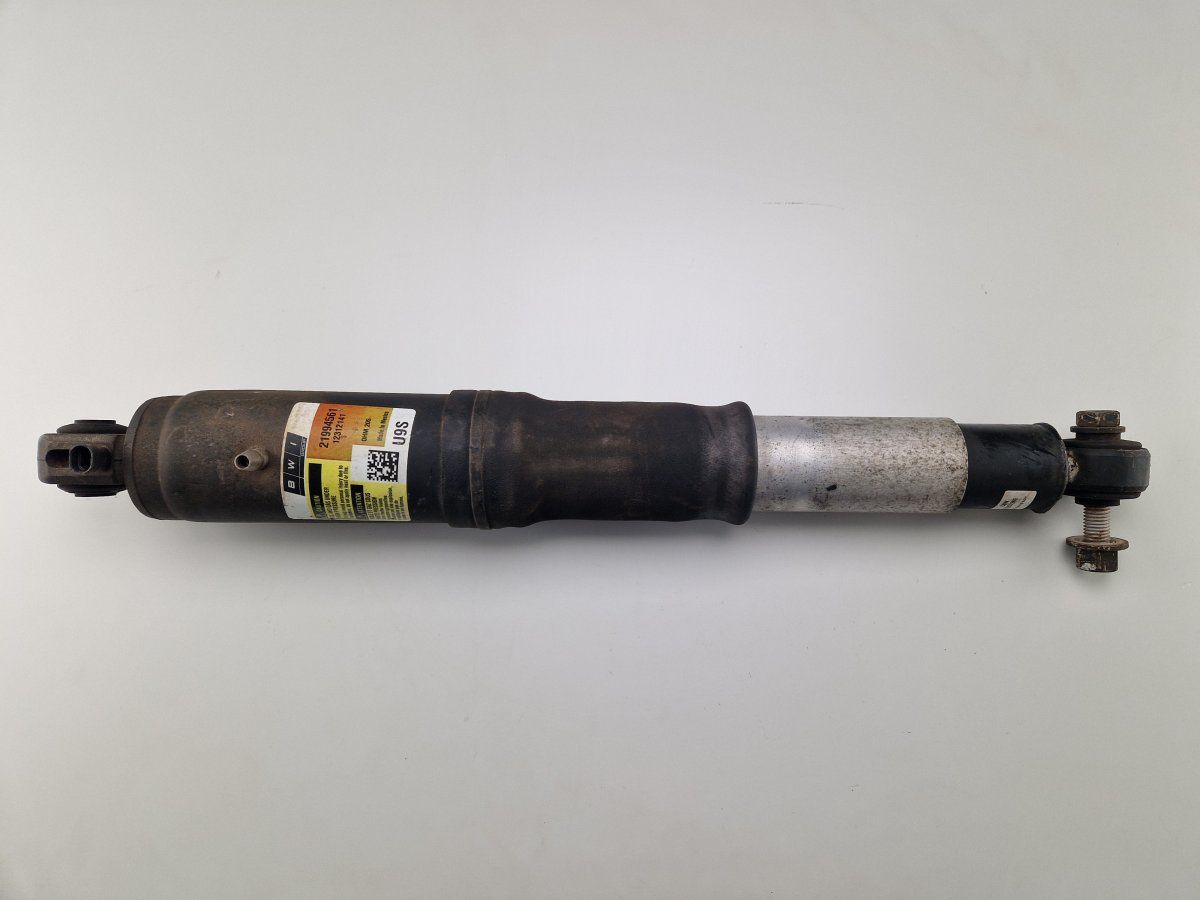 5801091 Shock Absorber Rear Left CADILLAC ESCALADE (1998-2006) — Europe Delivery