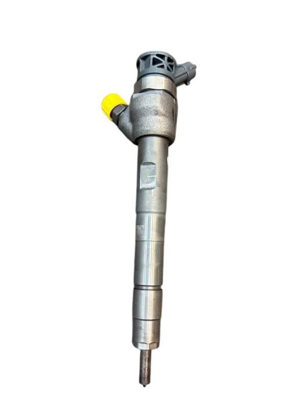 0445111019 Injecteur de carburant LAND ROVER EVOQUE I (L538) (2011-2018) — Livraison en Europe