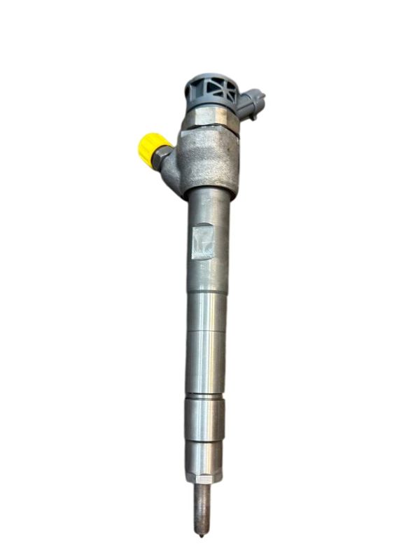 0445111019 Injecteur de carburant LAND ROVER EVOQUE I (L538) (2011-2018) — Livraison en Europe
