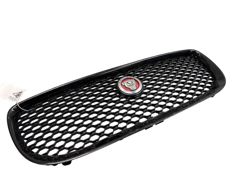 T4N5870 Radiator Grille JAGUAR XE (X760) (2015-2024)