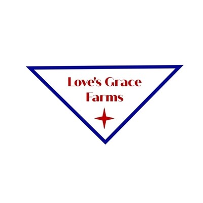 LOPI Alpaca Yarn, Nelda