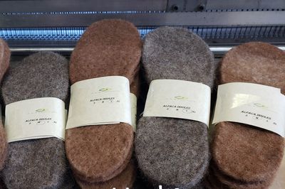 Alpaca Insoles  XL