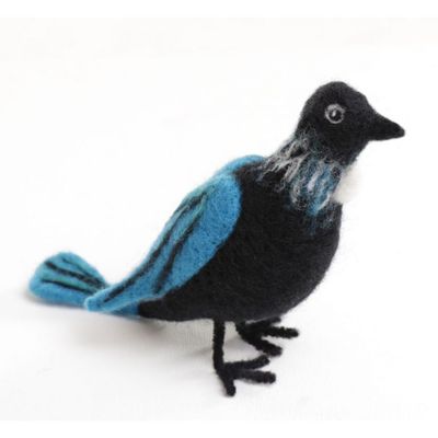 NFK Tui