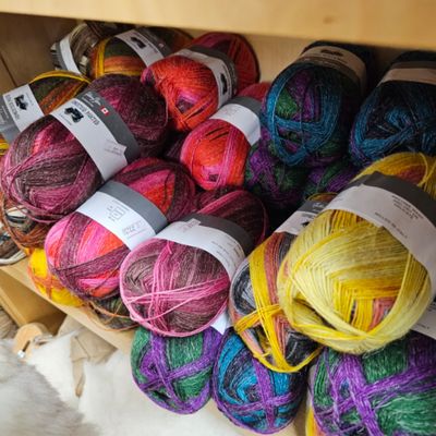 Sock Yarn, HOMESTEAD PAINTED (GY)