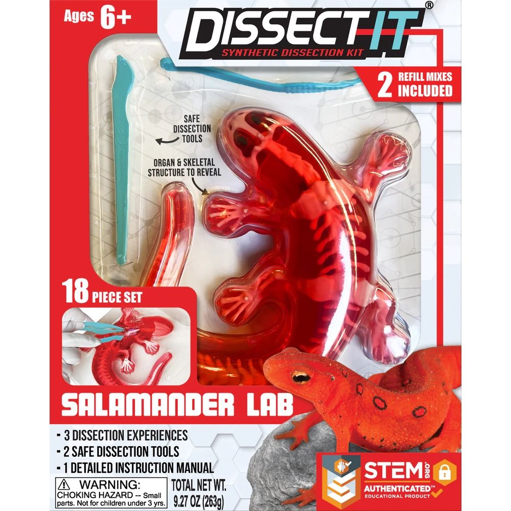 Dissect-It® Salamander Lab