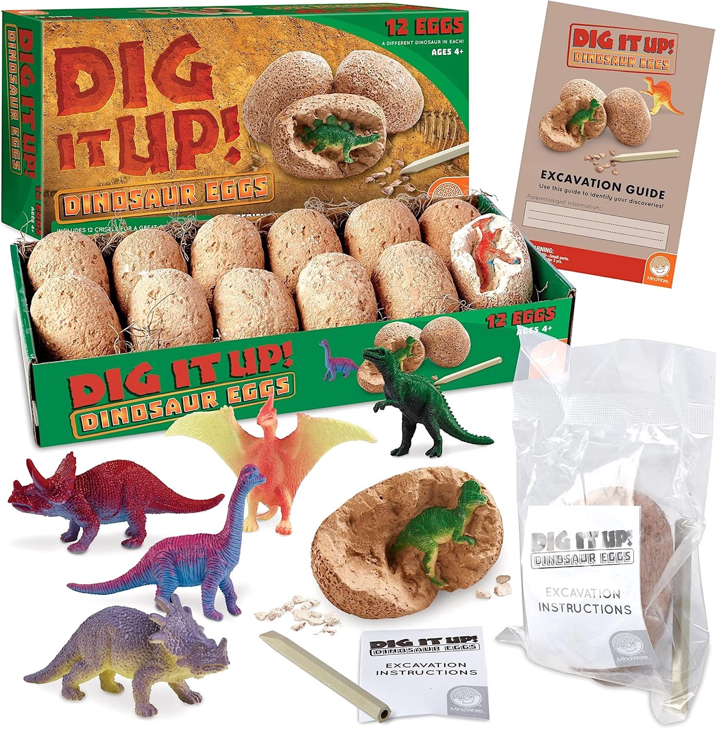 DIG IT UP!: DINOSAUR EGGS