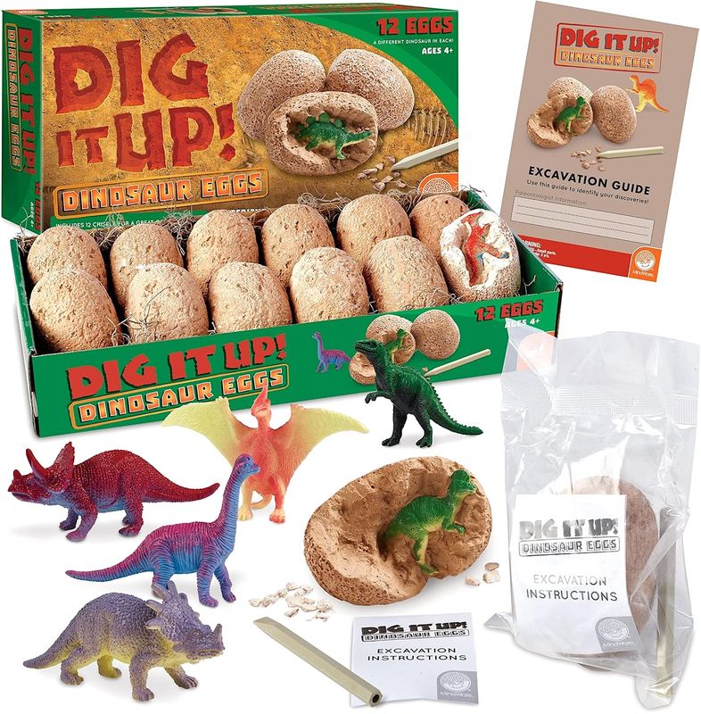 DIG IT UP!: DINOSAUR EGGS