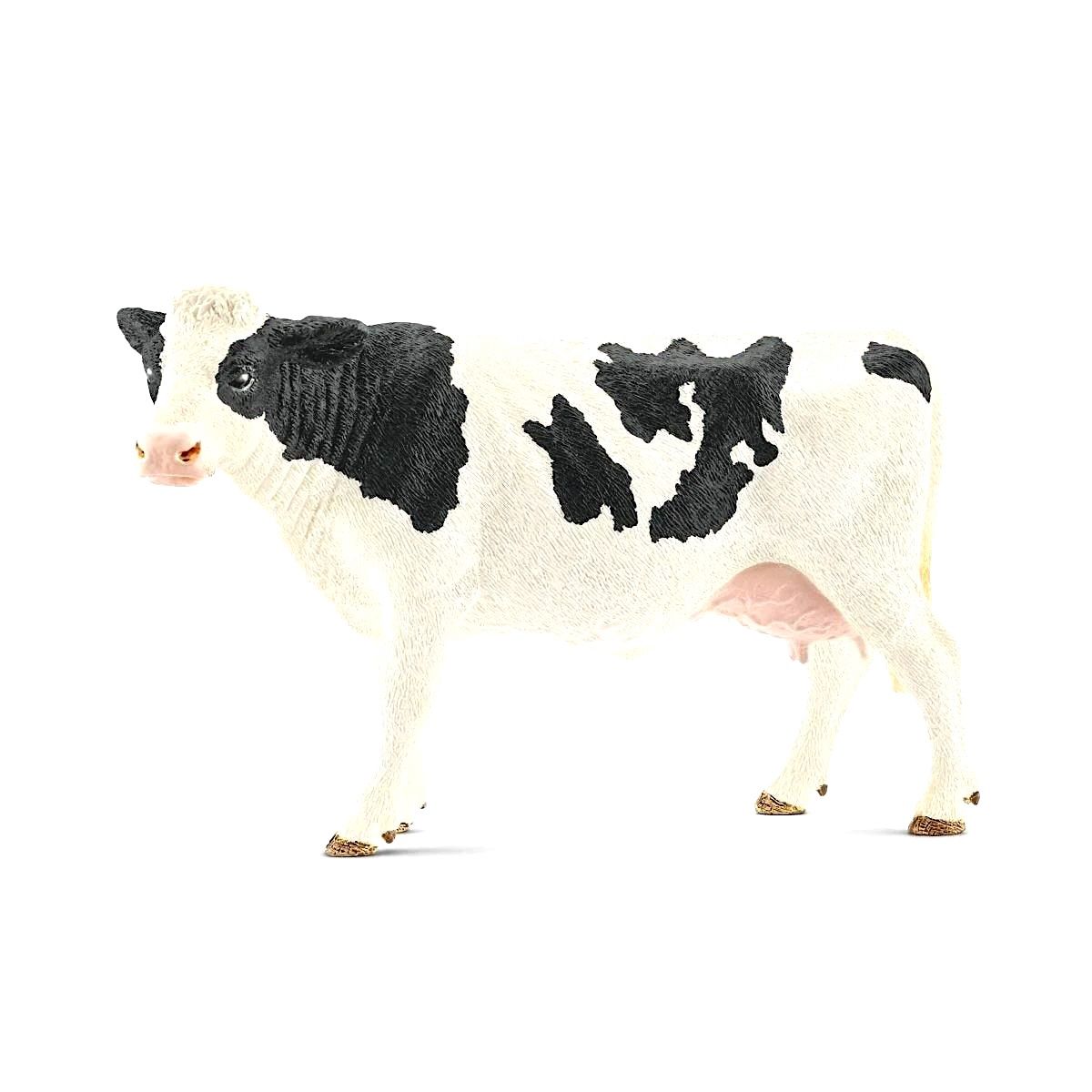 Holstein cow