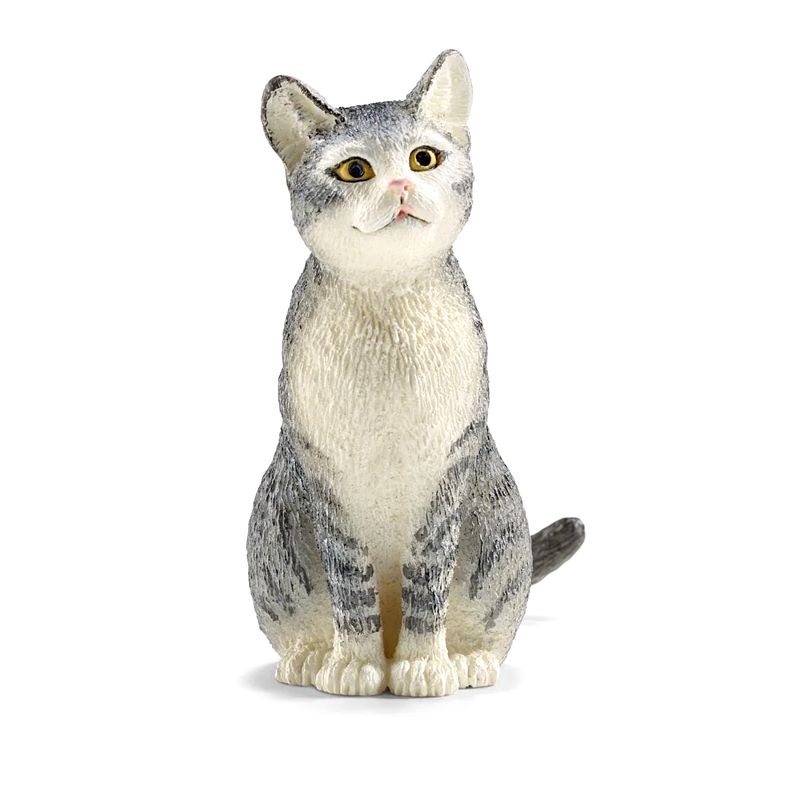 Cat, sitting