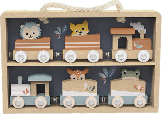 Train Set