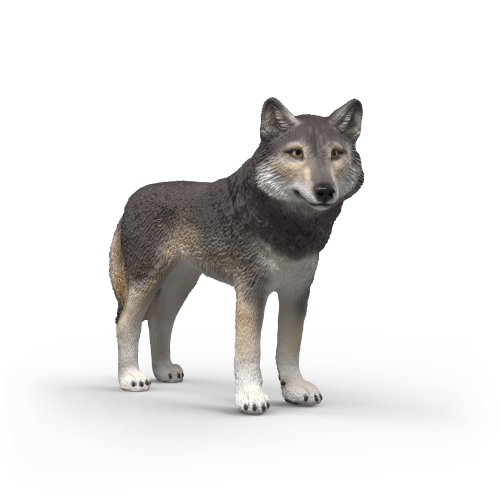 American Wolf