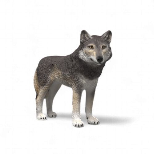 American Wolf