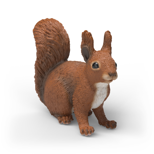 Squirrel