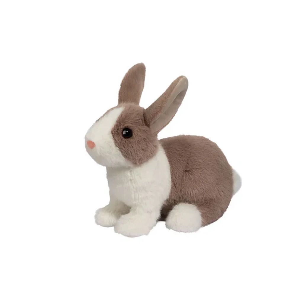 Daffodil Dutch Bunny