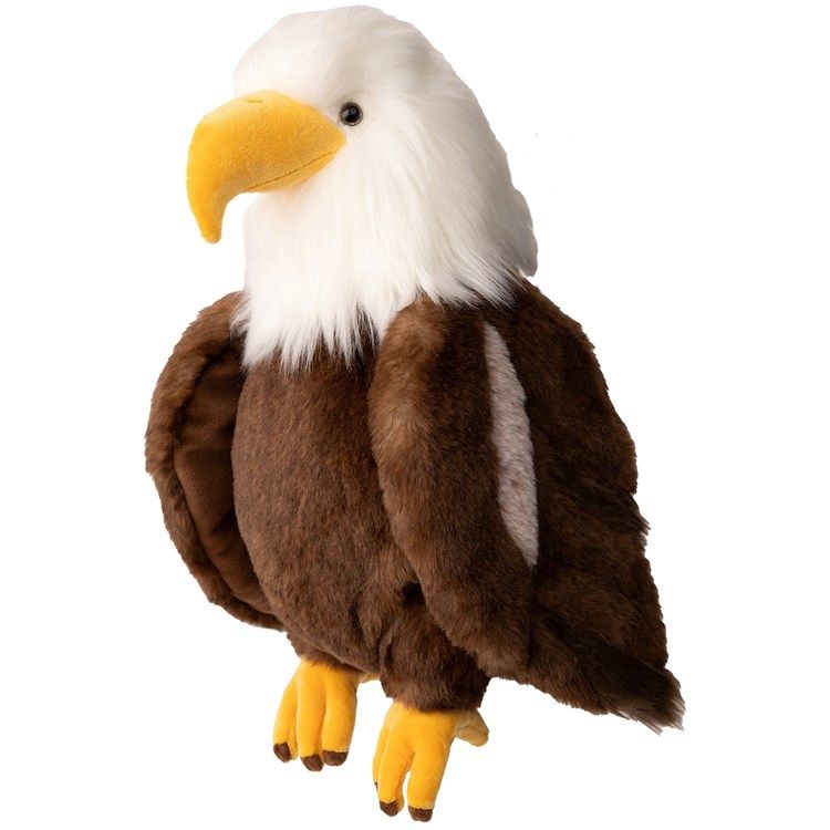 Scout-Eagle