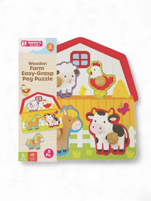 Wooden Easy-Grasp Peg Puzzle