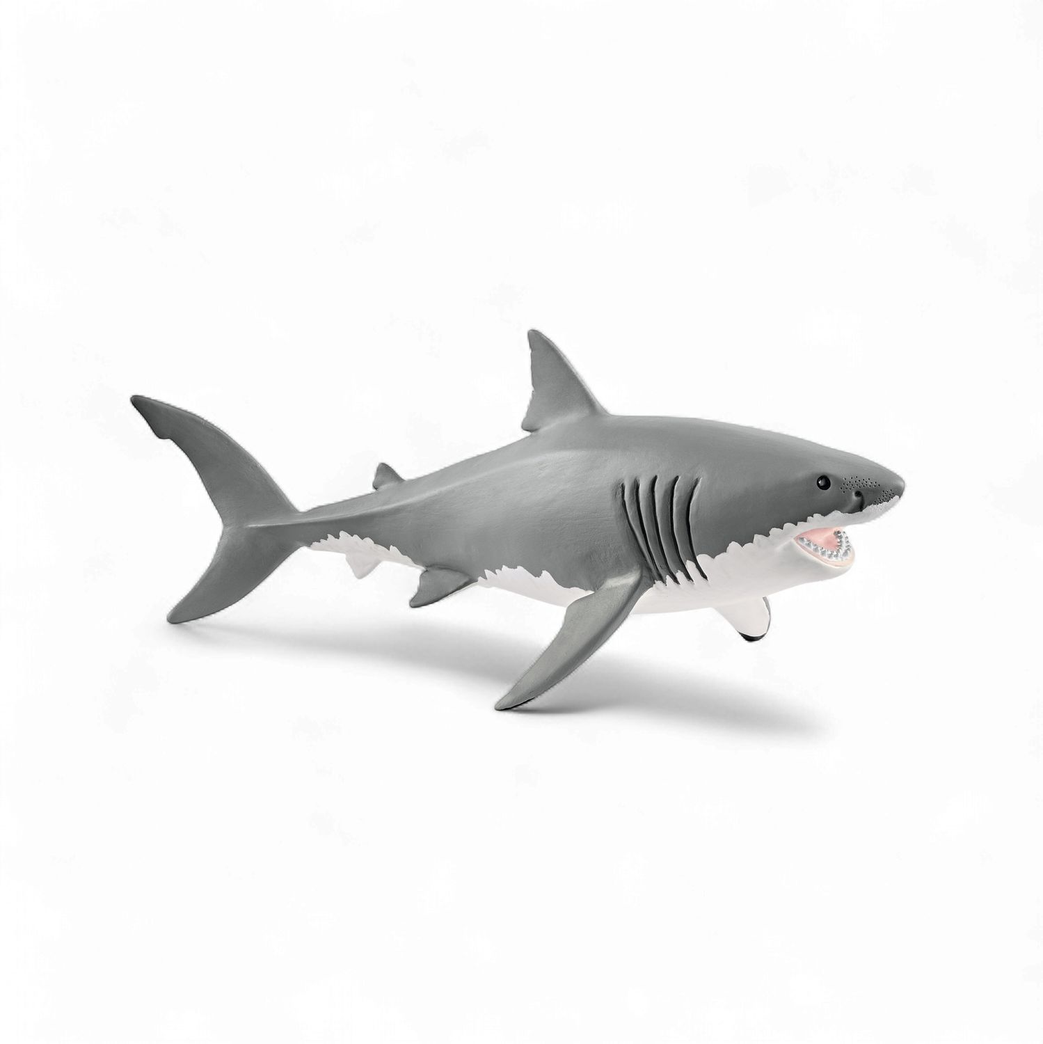 Great White Shark
