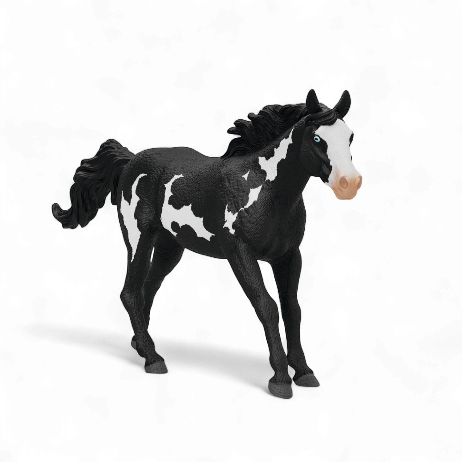 Paint Horse Gelding