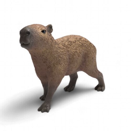 Capybara