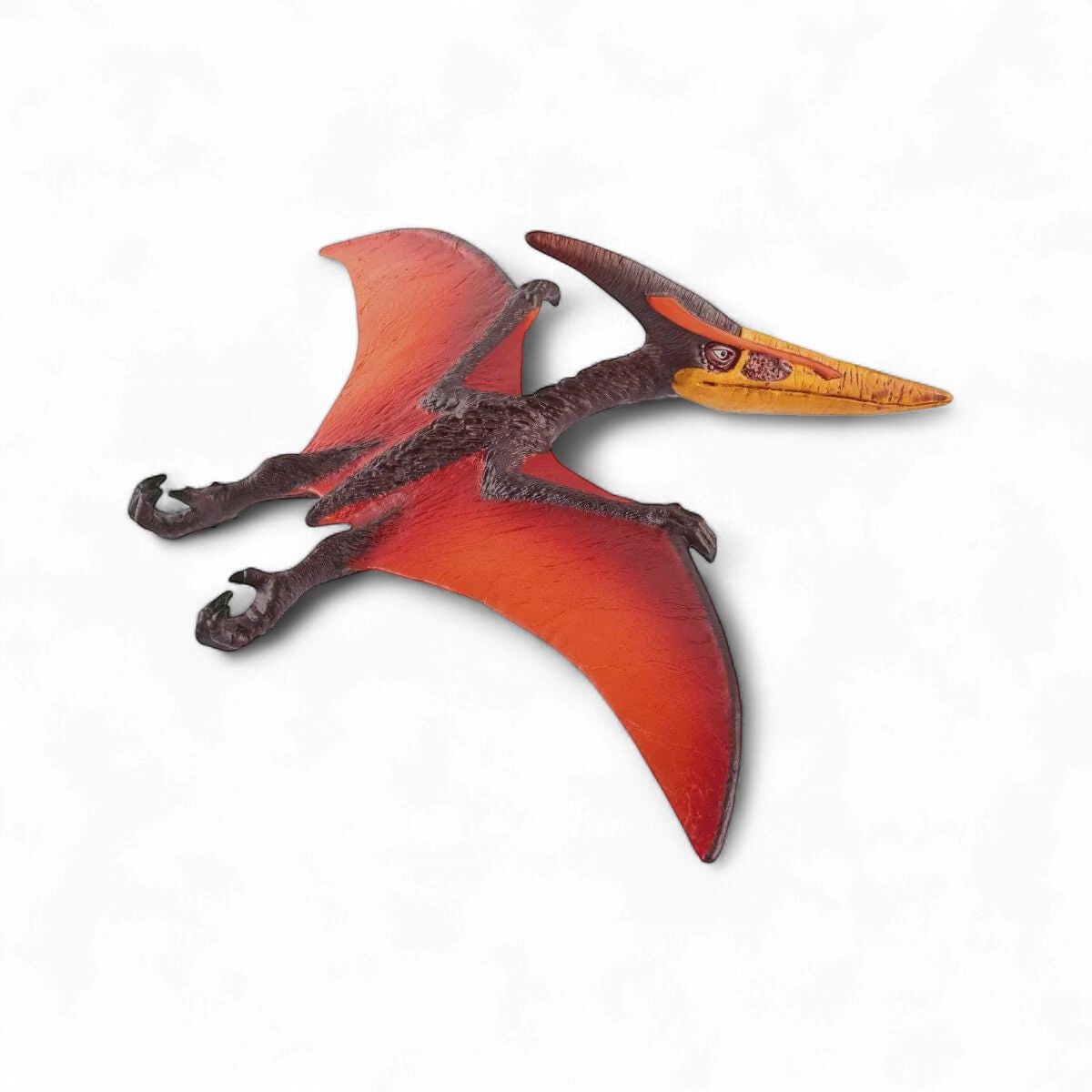 Pteranodon