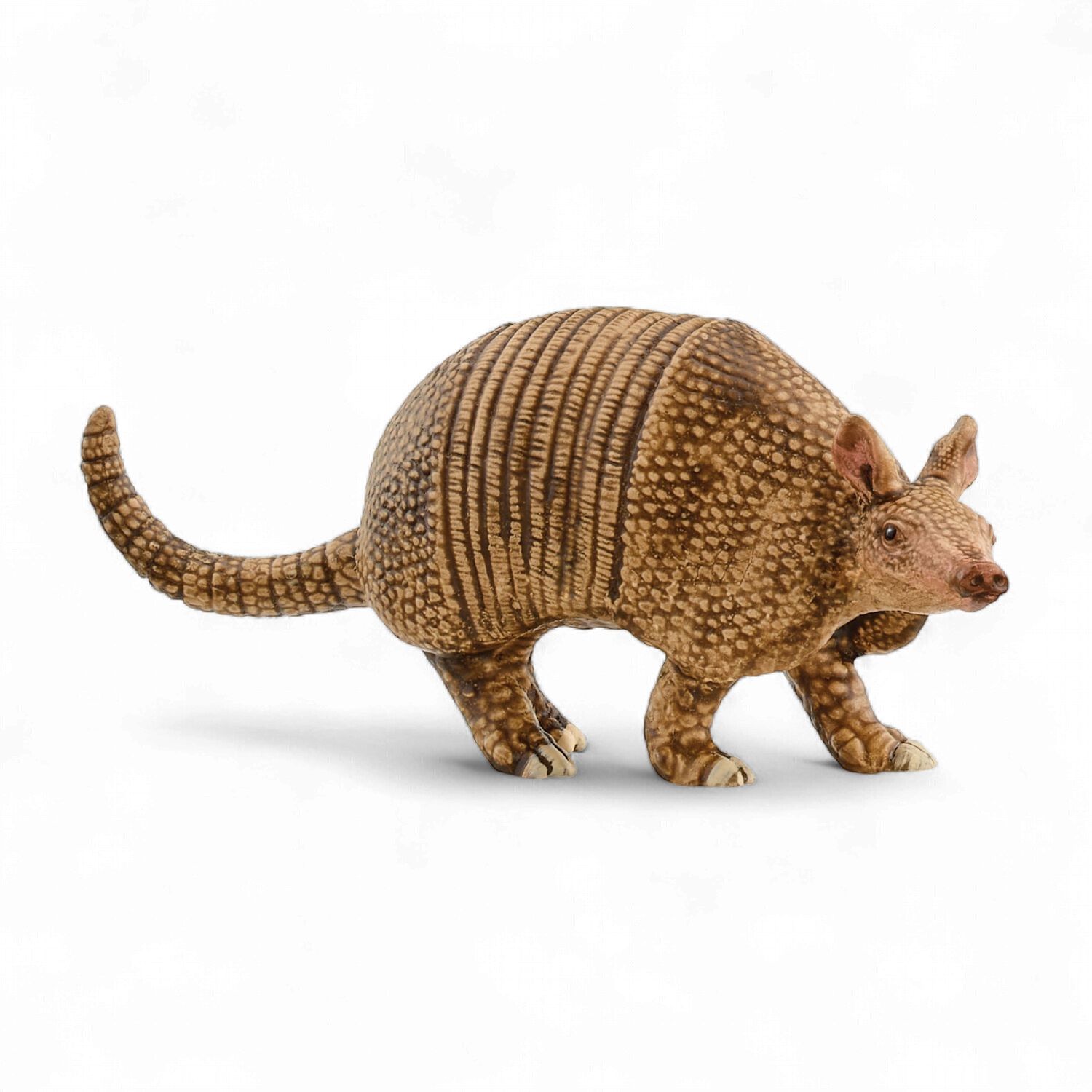 Armadillo