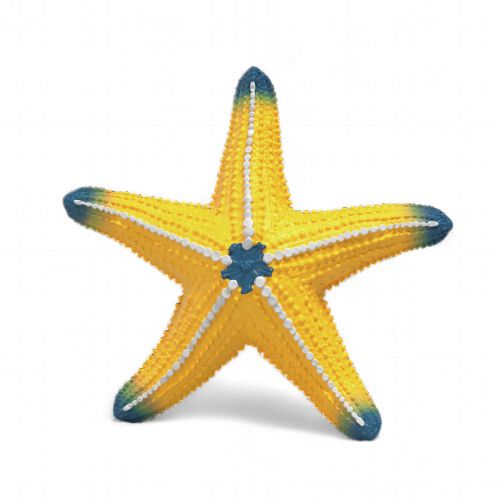 Starfish with color change
