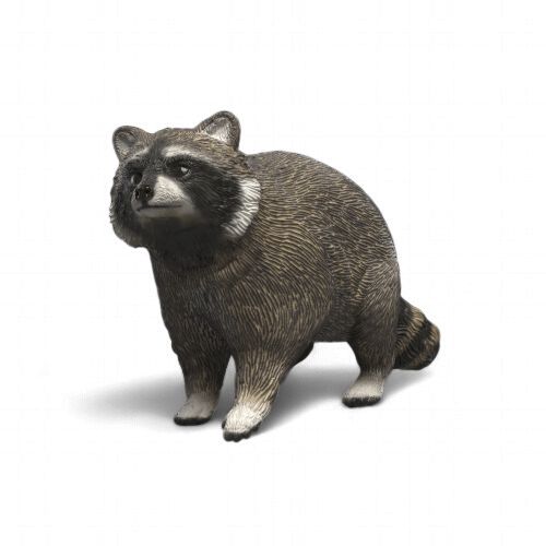 Raccoon