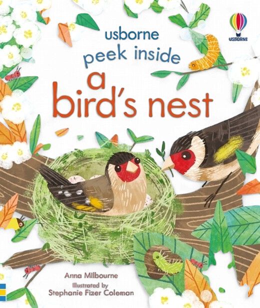 Peek Inside a Bird's Nest