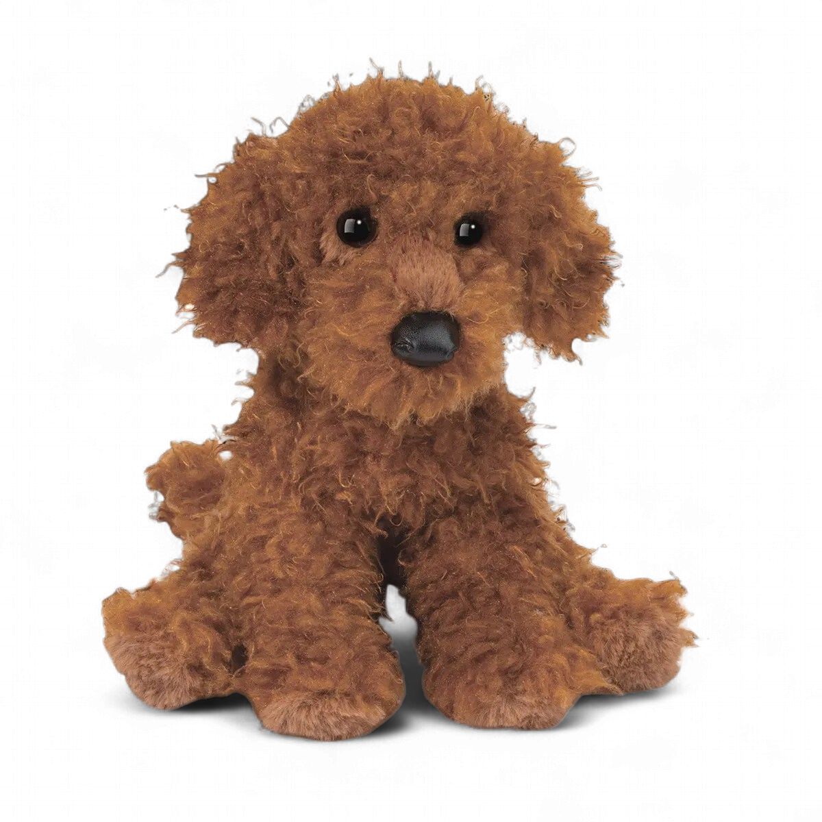 Ginger Miniature Poodle