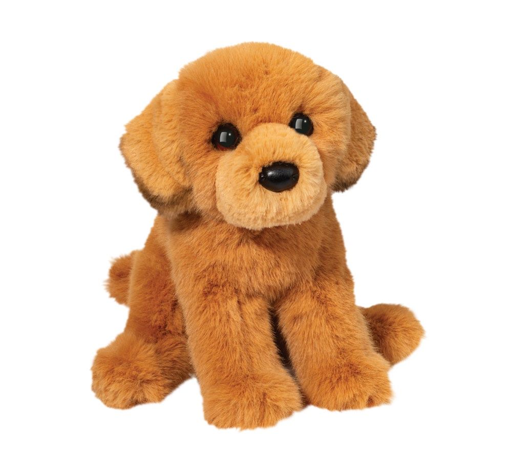 August Golden Retreiver