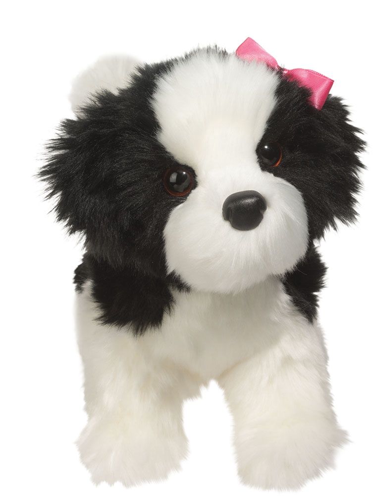 Poofy Shih Tzu Black &amp; White