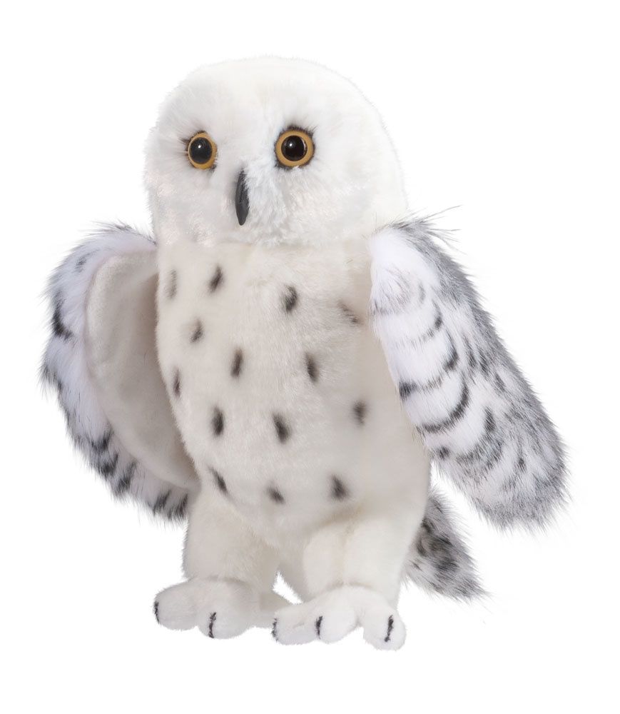 Legend Snowy Owl