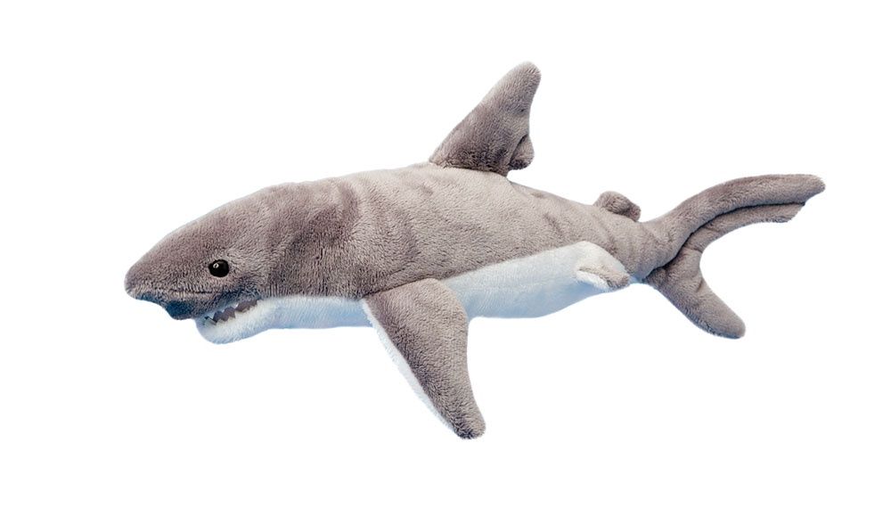 Smiley Shark