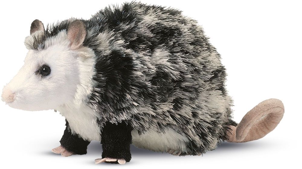 Oliver Possum