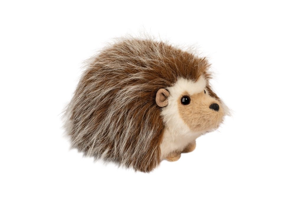 Bristle Hedgehog