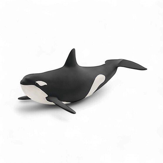 Killer Whale