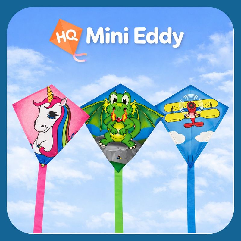 Mini Eddy