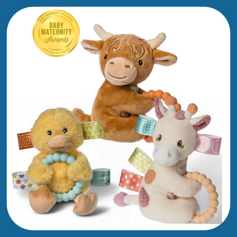 Teether Rattle