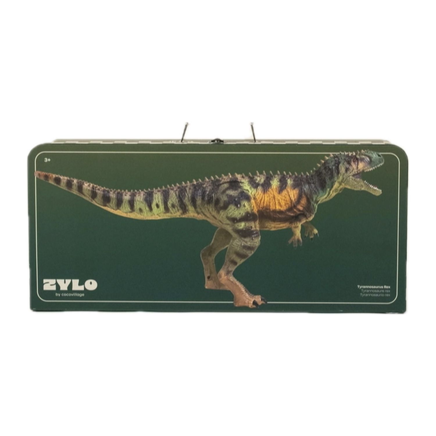 Tyrannosaurus Rex Dinosaur in a Collectible Box
