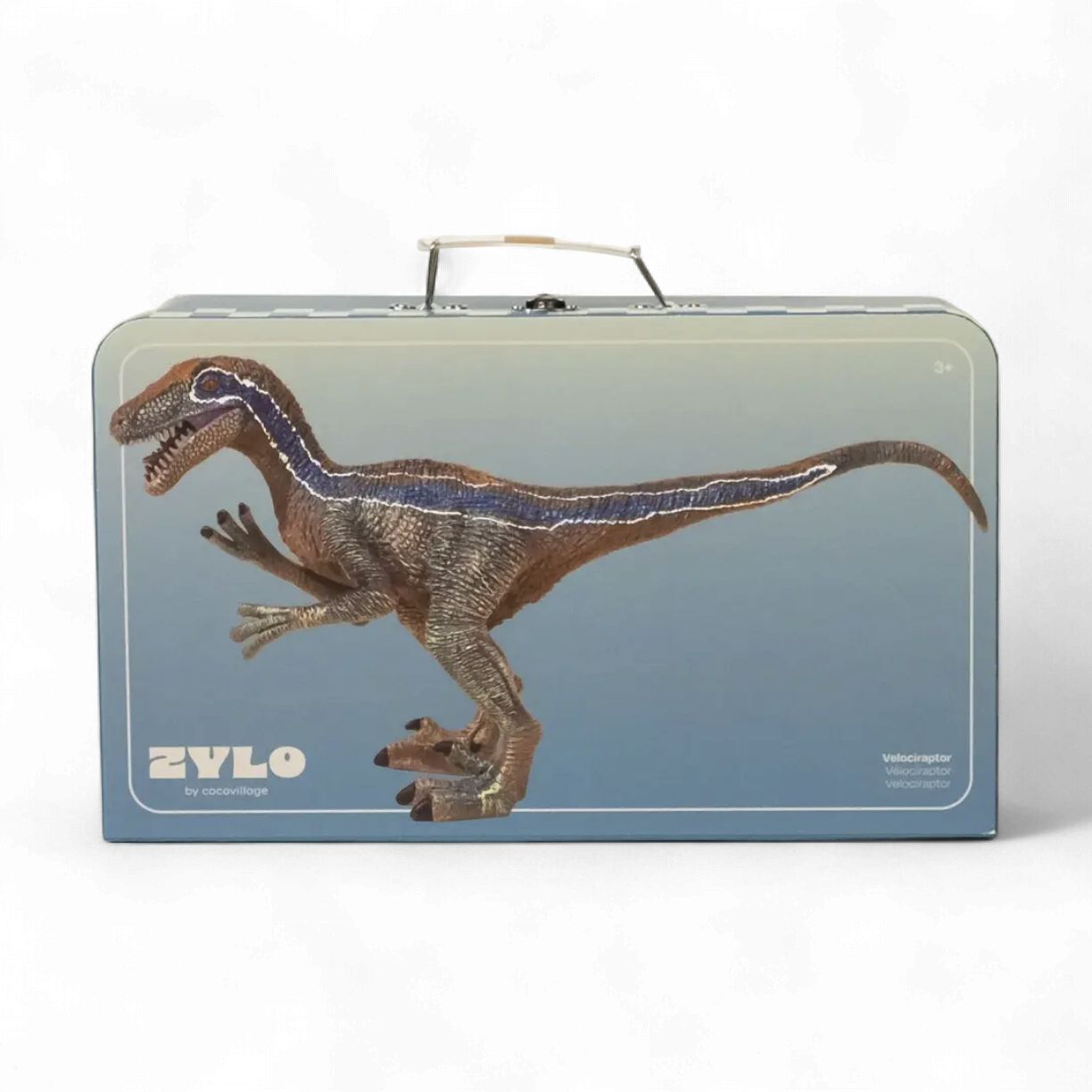 Velociraptor Dinosaur in a Collectible Box